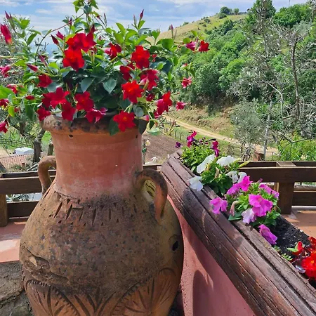 Il Rifugio Rosa Βίλα Anagni